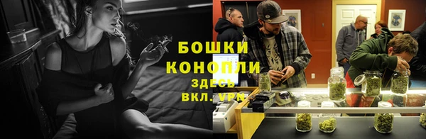 прущие грибы Абаза