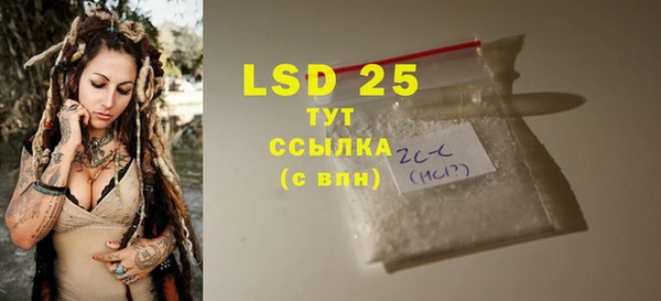прущие грибы Абаза