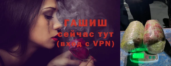 прущие грибы Абаза