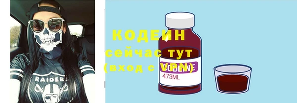 прущие грибы Абаза