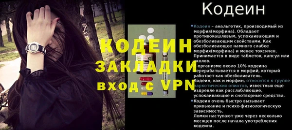 прущие грибы Абаза
