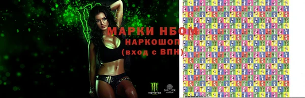 прущие грибы Абаза
